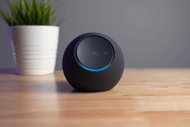 Echo Dot Max