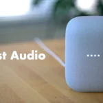 Google Nest Audio